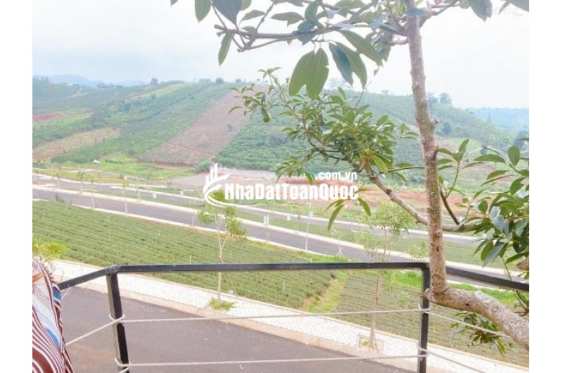 Bán rẻ lô đất thổ cư - cạnh Làng Pháp Bảo Lộc siêu hot